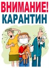 Работа на карантине.